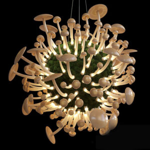 Mushrooms - Vargov Design